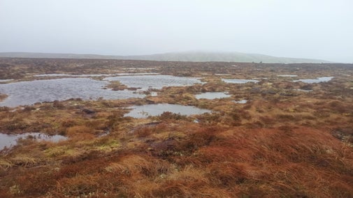 Partnership project between RSPB Cymru, National Trust Cymru and Eryri National Park restores 65 hectares of degraded peatland on Y Migneint